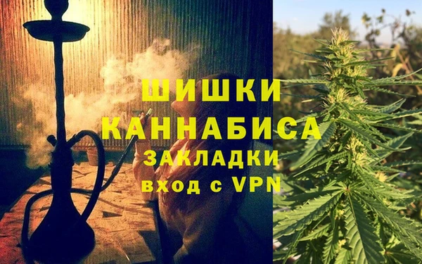 ПСИЛОЦИБИНОВЫЕ ГРИБЫ Баксан