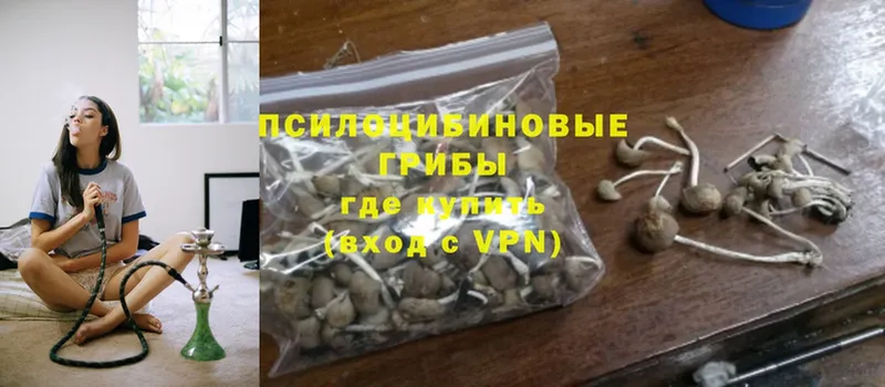 цена наркотик  Дрезна  Галлюциногенные грибы Magic Shrooms 